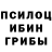 Псилоцибиновые грибы прущие грибы AUDIST UTRFGCHE