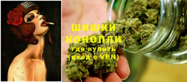 прущие крисы Верея