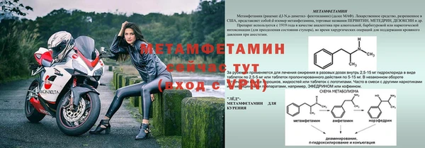 прущие крисы Верея