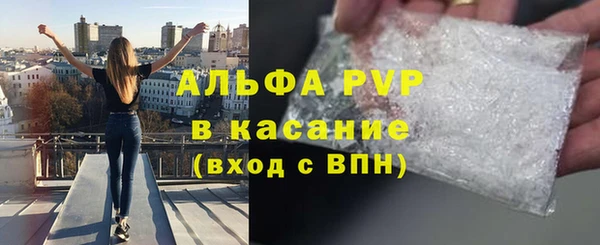прущие крисы Верея