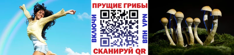 нарко площадка телеграм  Димитровград  Галлюциногенные грибы Psilocybine cubensis 